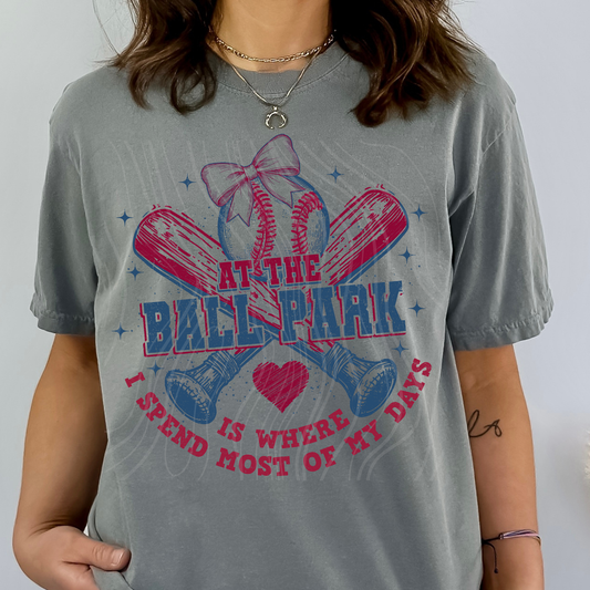 At The Ball Park Transfer